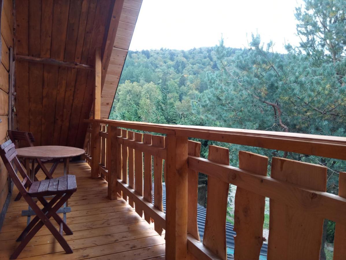 Cztery Pory Roku - Dom Villa Lutowiska Luaran gambar